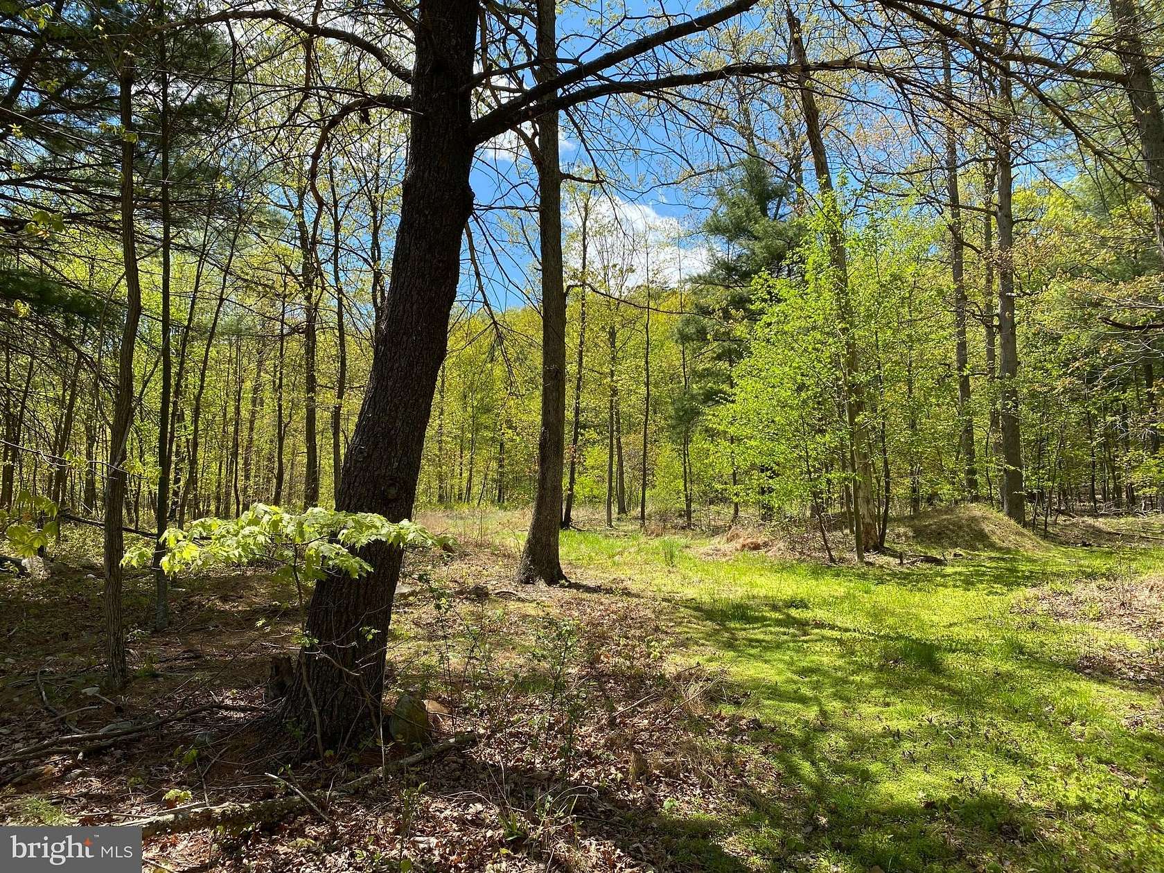 2.25 Acres of Residential Land for Sale in Berkeley Springs, West Virginia
