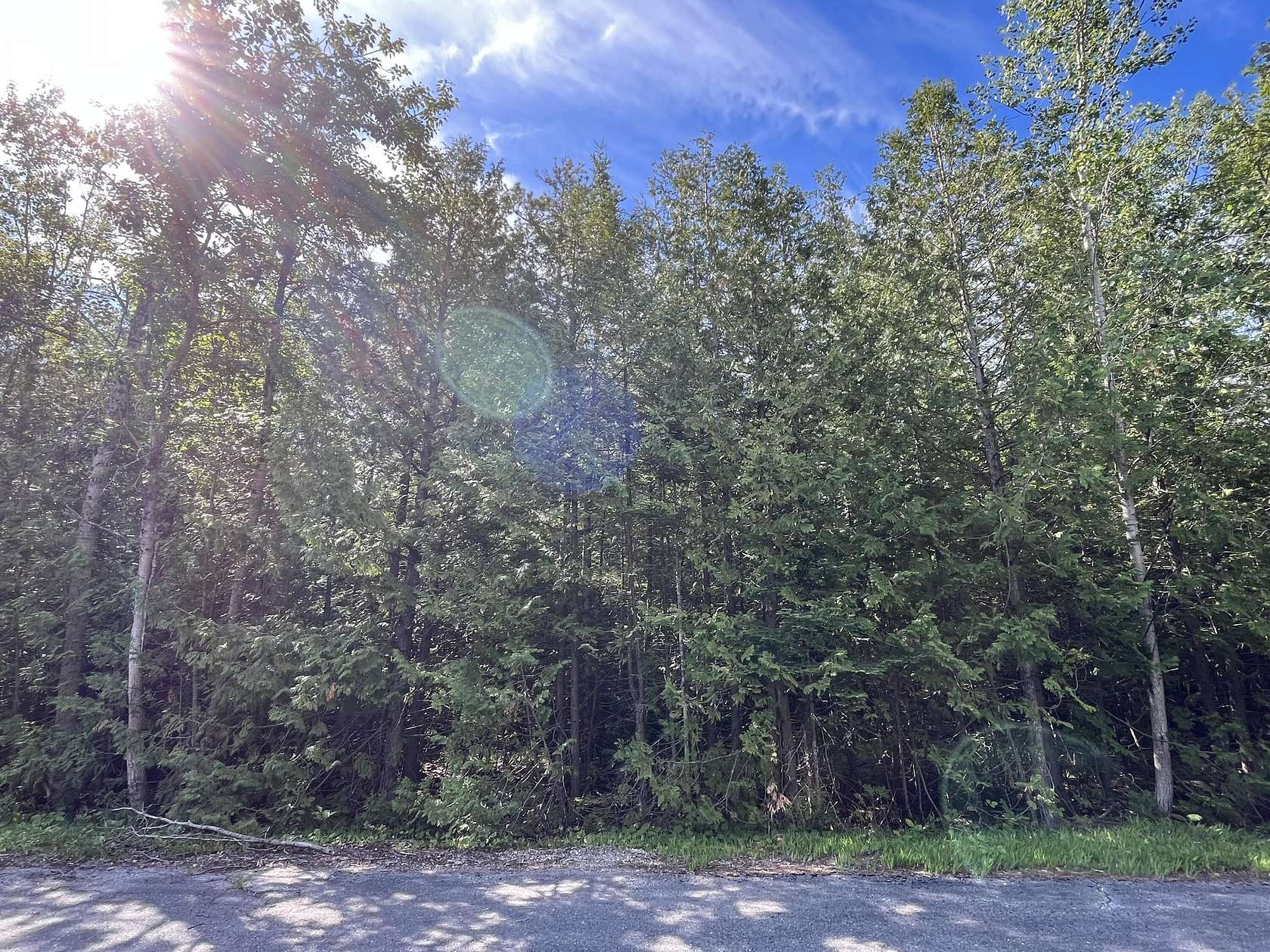 0.87 Acres of Residential Land for Sale in Presque Isle, Michigan