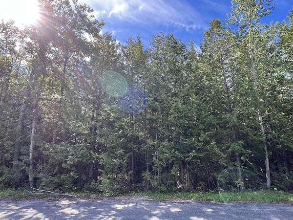 0.87 Acres of Residential Land for Sale in Presque Isle, Michigan