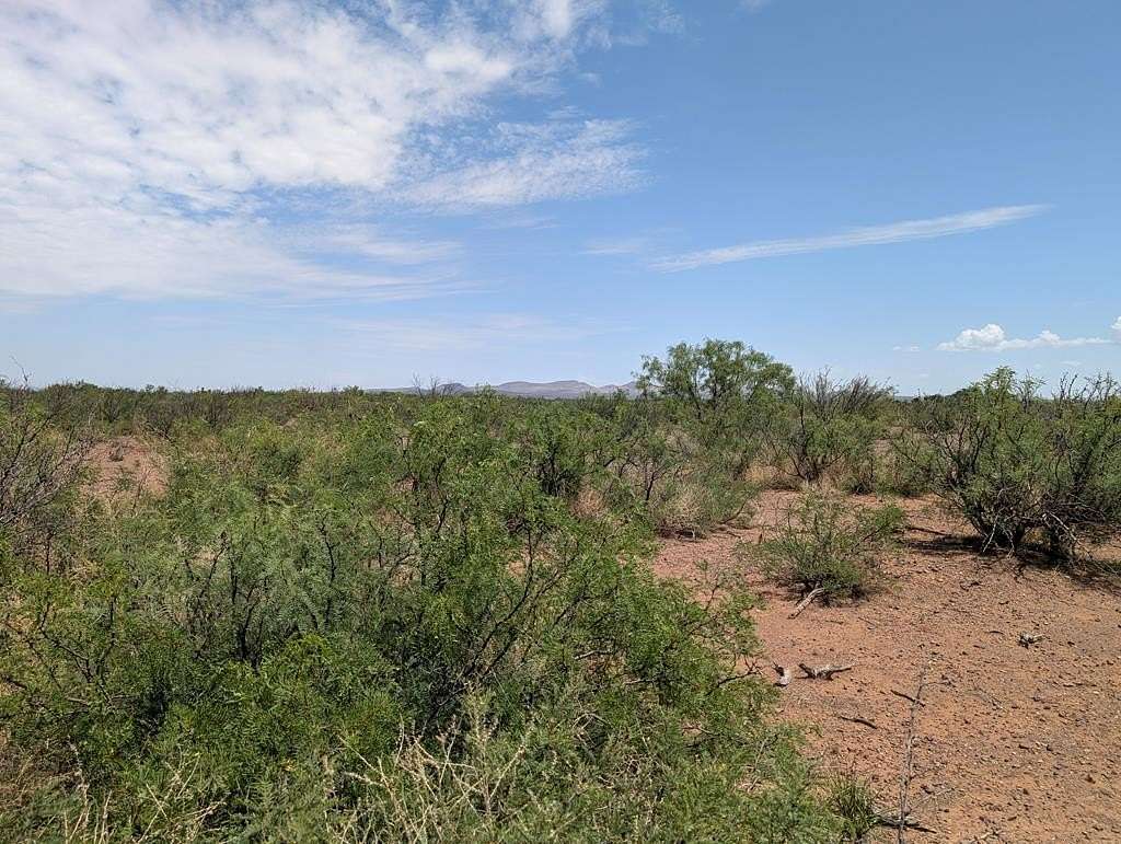 0.65 Acres of Land for Sale in Valentine, Texas