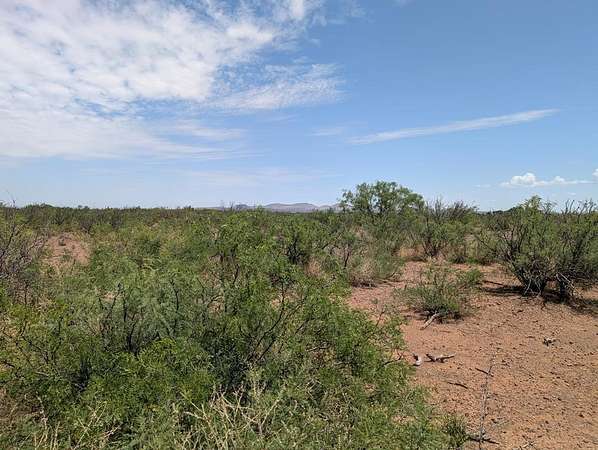 0.65 Acres of Land for Sale in Valentine, Texas