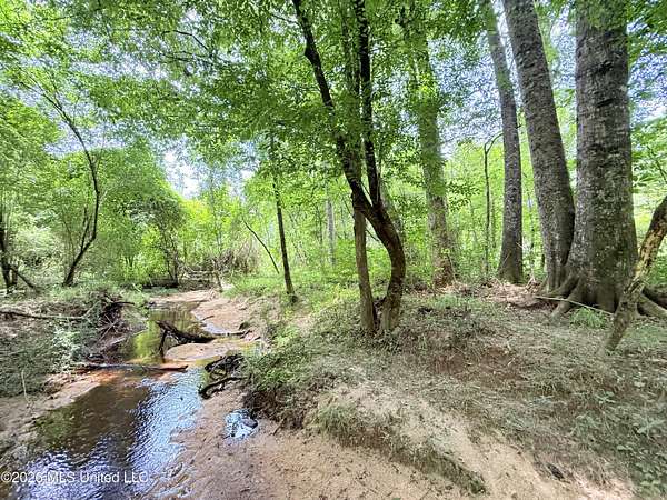 16 Acres of Recreational & Residential Land for Sale in Summit, Mississippi