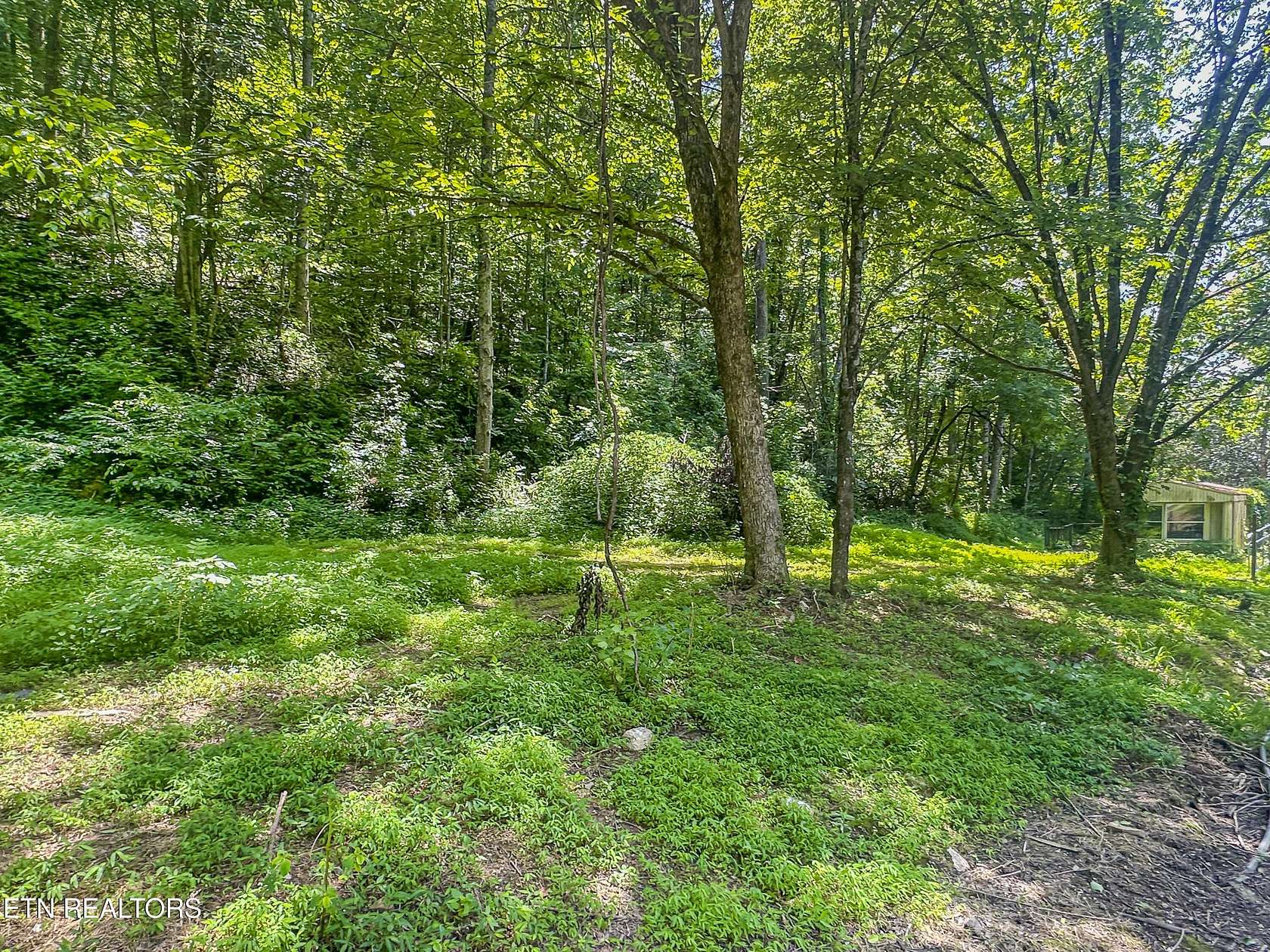 2.82 Acres of Residential Land for Sale in Knoxville, Tennessee