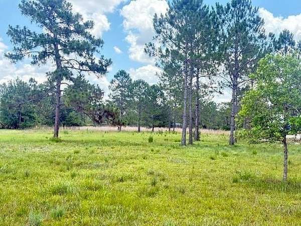 2.6 Acres of Residential Land for Sale in Orlando, Florida