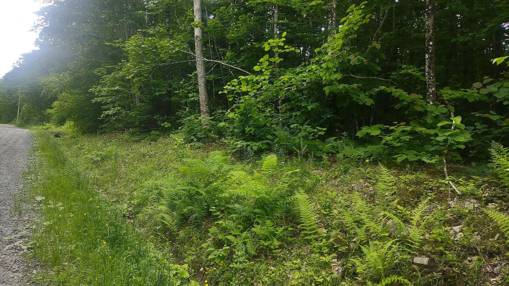 2 Acres of Residential Land for Sale in Vienna, Maine