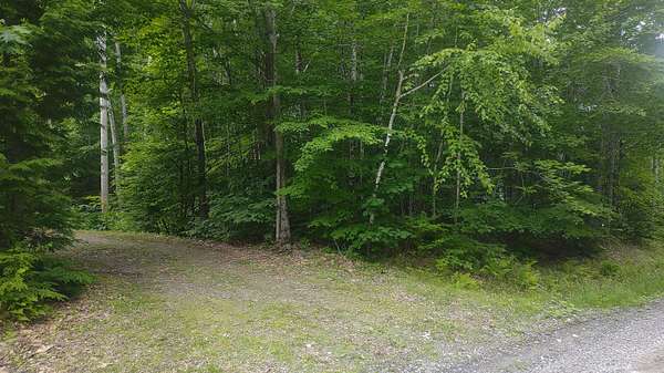 2 Acres of Residential Land for Sale in Vienna, Maine
