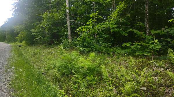2 Acres of Residential Land for Sale in Vienna, Maine