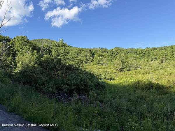 9 Acres of Land for Sale in Fleischmanns, New York