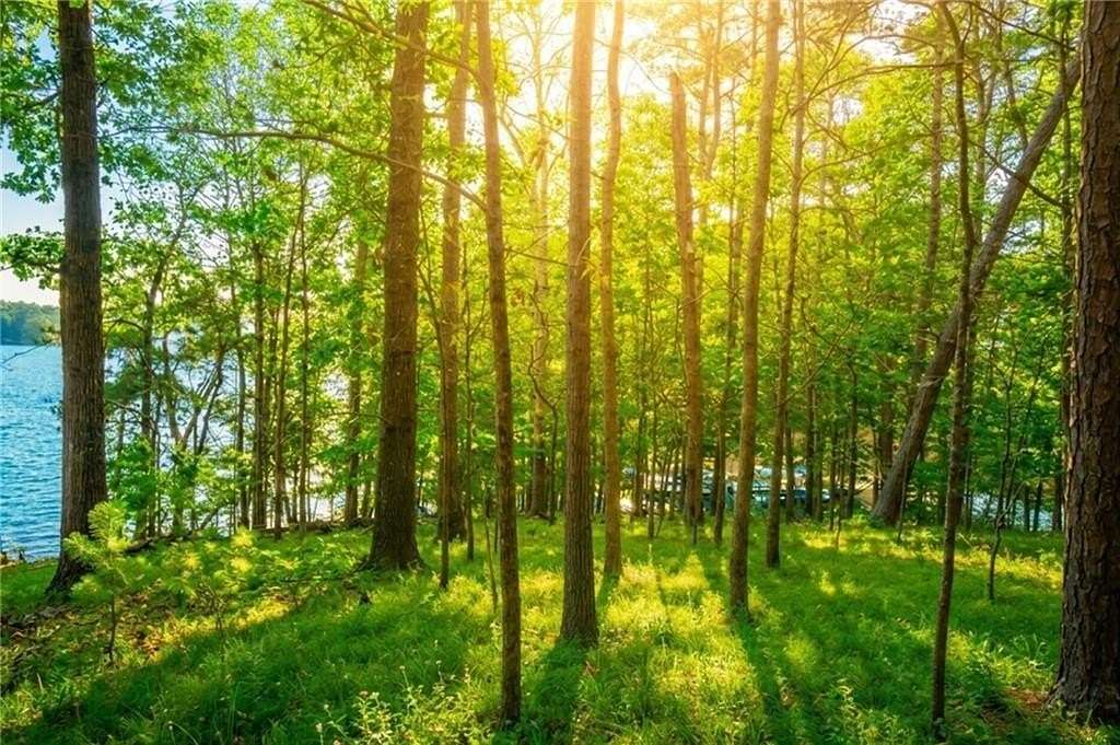 0.45 Acres of Residential Land for Sale in Gainesville, Georgia
