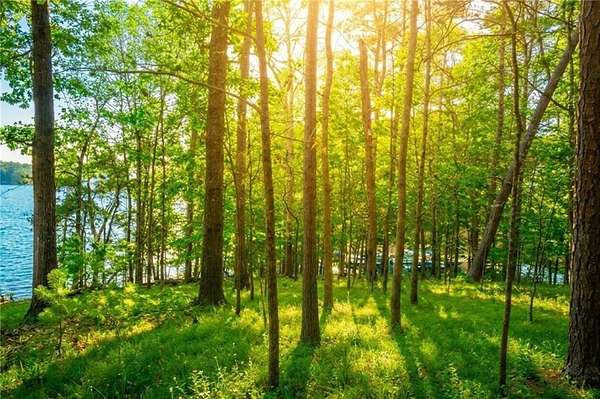 0.45 Acres of Residential Land for Sale in Gainesville, Georgia