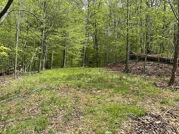 0.61 Acres of Residential Land for Sale in Eddyville, Kentucky