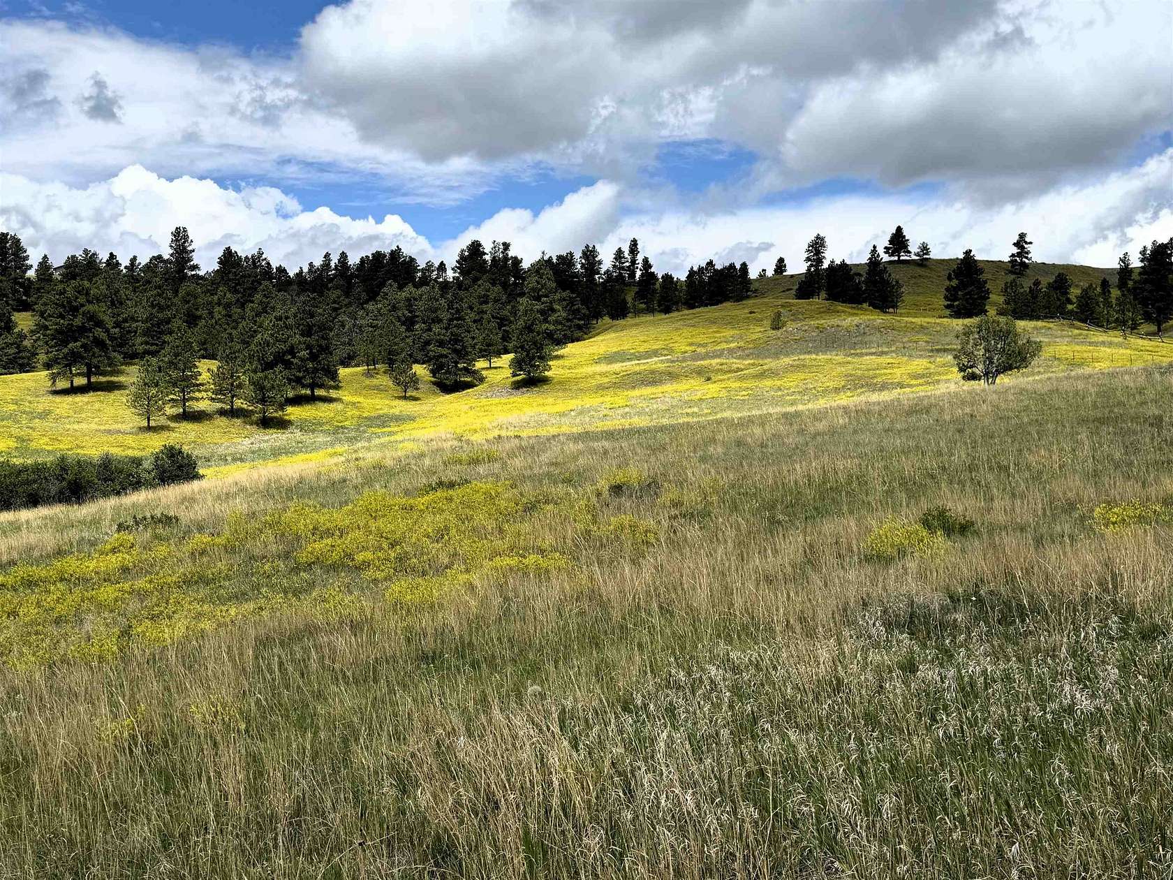 13 Acres of Recreational Land for Sale in Devils Tower, Wyoming
