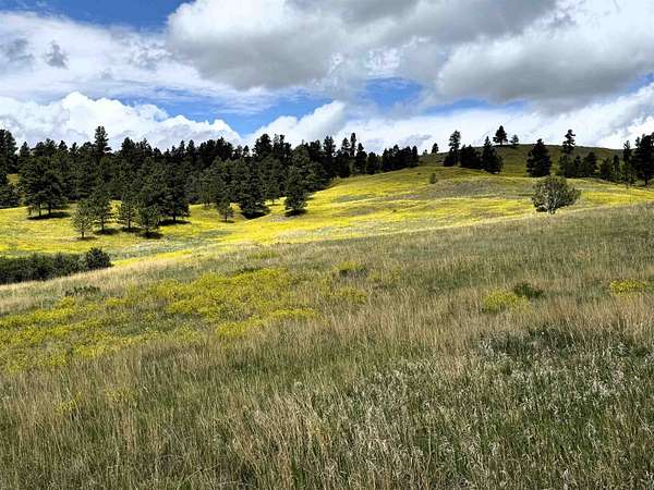 13 Acres of Recreational Land for Sale in Devils Tower, Wyoming