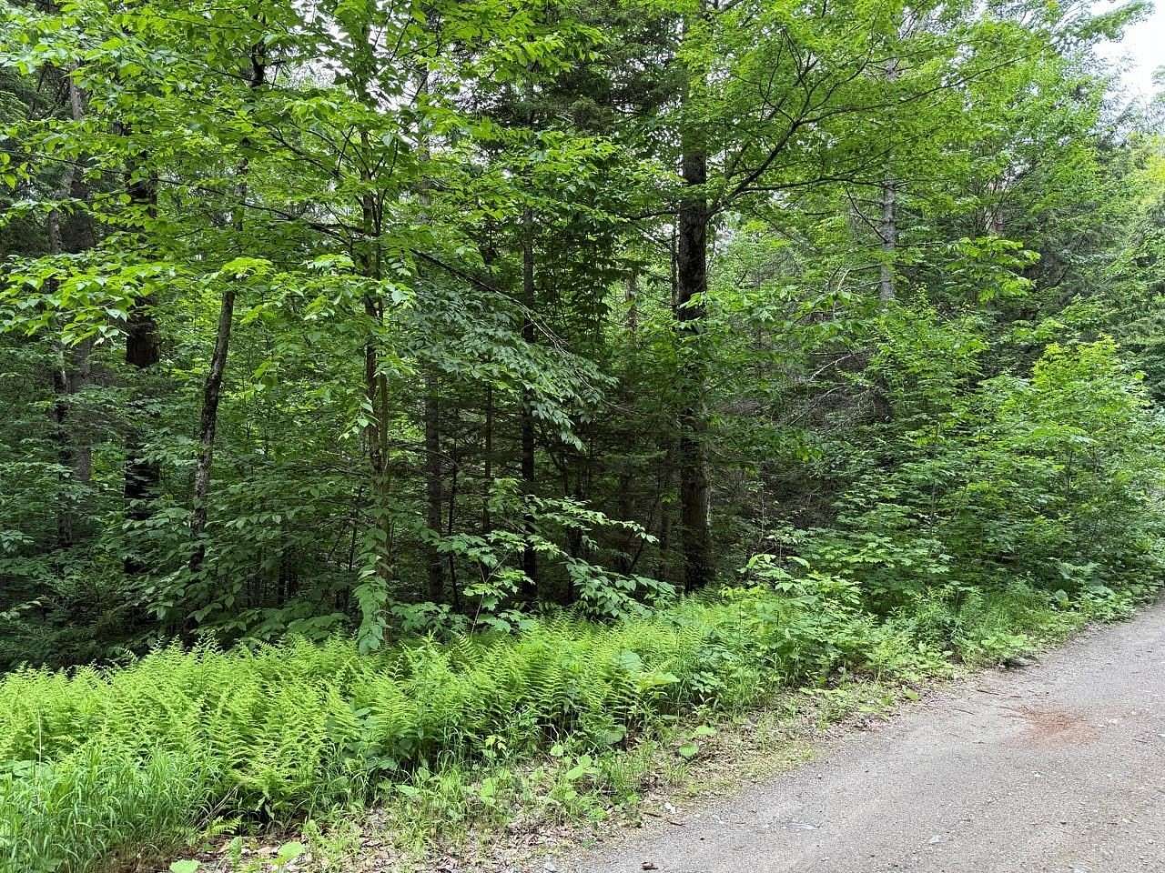 31.6 Acres of Recreational & Residential Land for Sale in Calais Town, Vermont