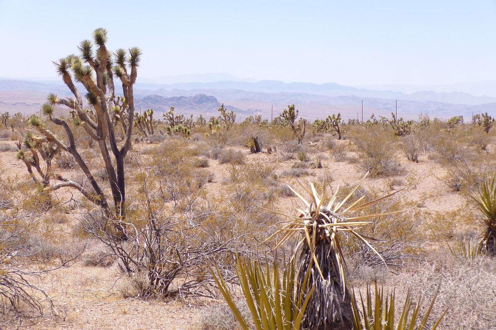 5.3 Acres of Land for Sale in White Hills, Arizona
