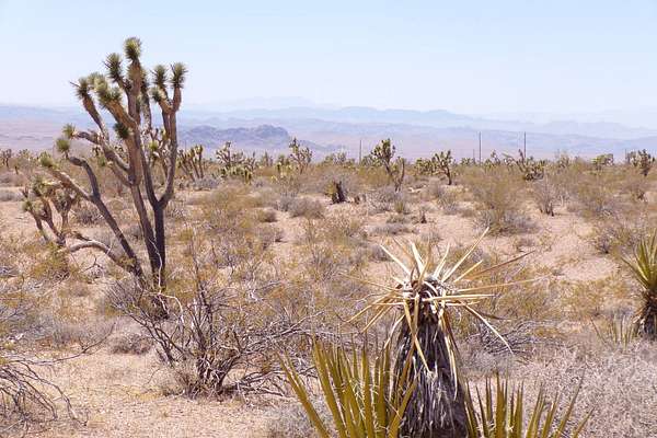 5.3 Acres of Land for Sale in White Hills, Arizona