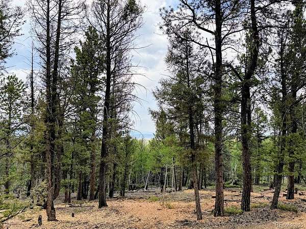 3.15 Acres of Residential Land for Sale in Hartsel, Colorado