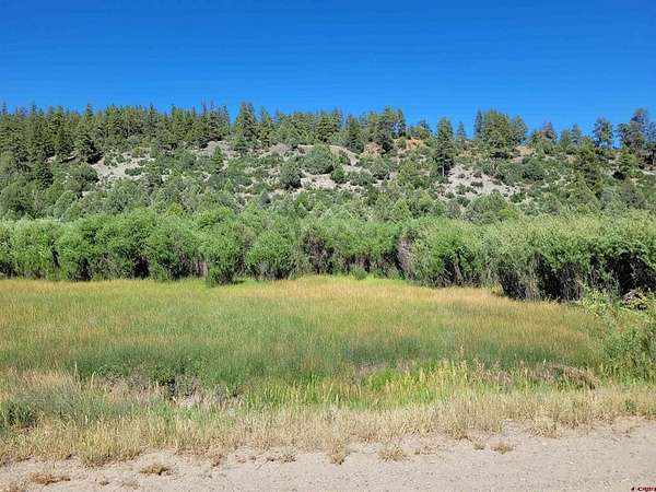 7.25 Acres of Residential Land for Sale in Pagosa Springs, Colorado