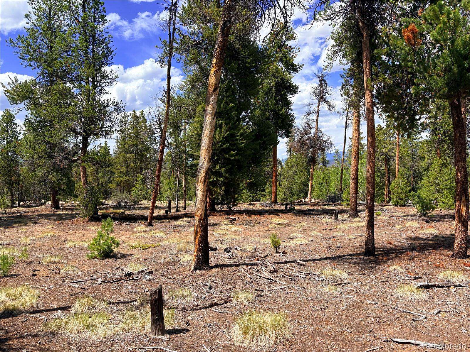 0.3 Acres of Residential Land for Sale in Leadville, Colorado