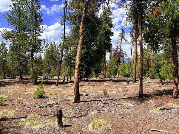 0.3 Acres of Residential Land for Sale in Leadville, Colorado