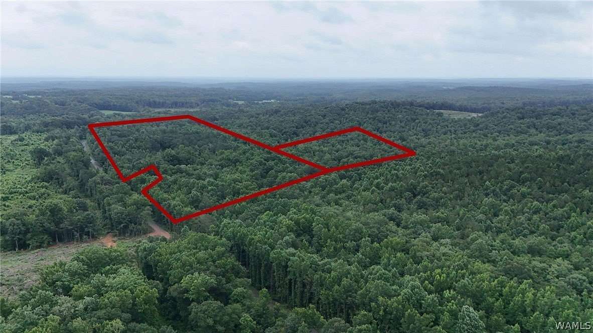 120 Acres of Recreational Land for Sale in Berry, Alabama