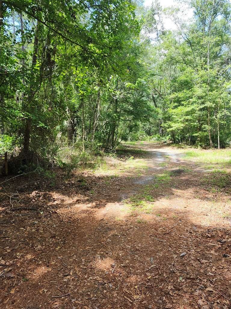 11.3 Acres of Recreational Land for Sale in Chiefland, Florida