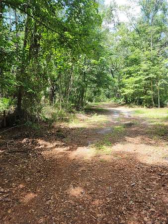 11.3 Acres of Recreational Land for Sale in Chiefland, Florida