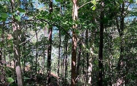 0.75 Acres of Residential Land for Sale in Ellijay, Georgia