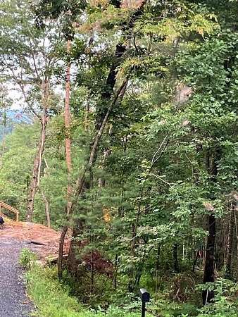 0.75 Acres of Residential Land for Sale in Ellijay, Georgia