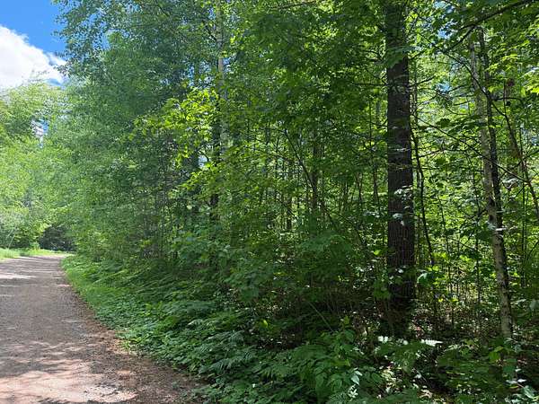 0.34 Acres of Residential Land for Sale in Minocqua, Wisconsin
