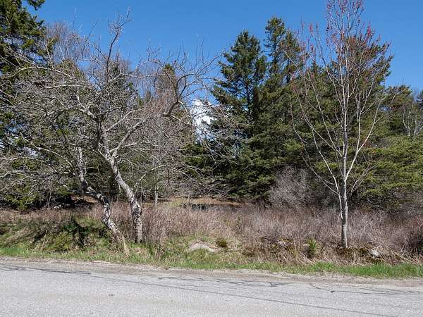 3.9 Acres of Land for Sale in Swans Island, Maine