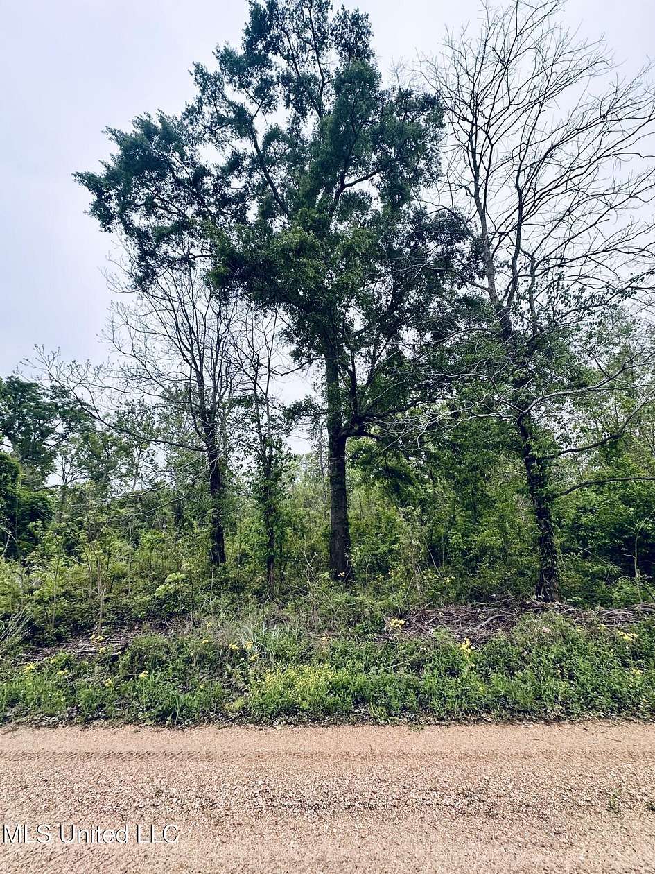 0.46 Acres of Land for Sale in Woodville, Mississippi