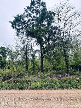 0.46 Acres of Land for Sale in Woodville, Mississippi