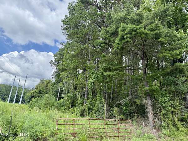 76.8 Acres of Recreational & Residential Land for Sale in Summit, Mississippi