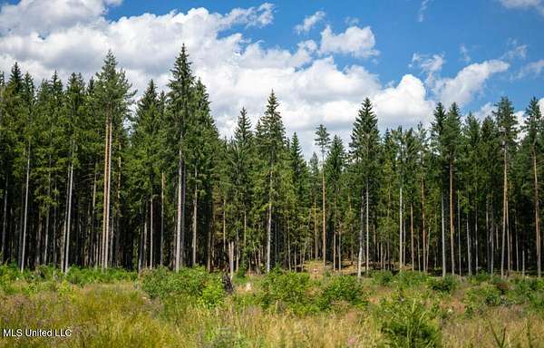 18 Acres of Recreational Land for Sale in Moss Point, Mississippi