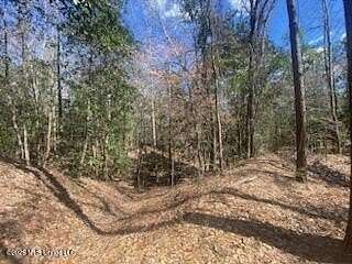 25 Acres of Recreational Land for Sale in Natchez, Mississippi