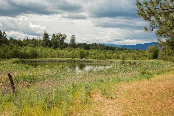 40 Acres of Land for Sale in Springdale, Washington