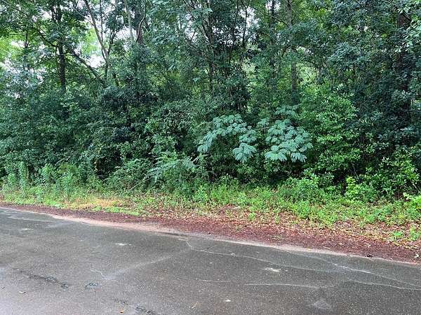 6 Acres of Land for Sale in Richland, Georgia