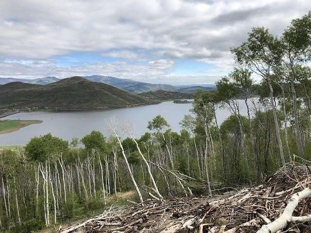 42 Acres of Recreational Land for Sale in Collbran, Colorado