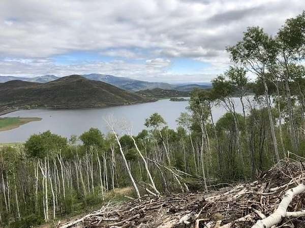 42 Acres of Recreational Land for Sale in Collbran, Colorado