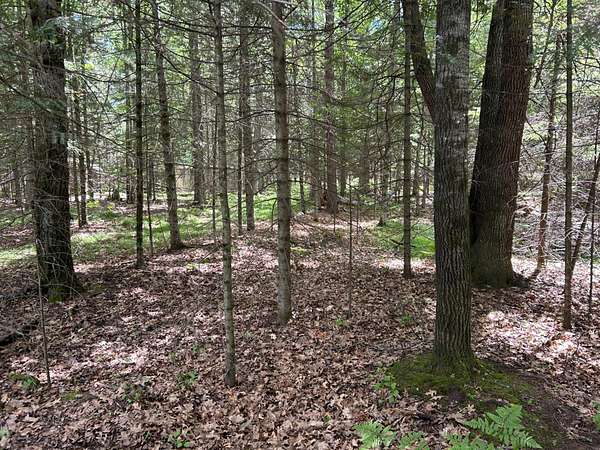 2.3 Acres of Land for Sale in Saint Germain, Wisconsin