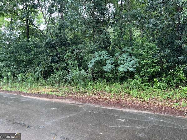 5.84 Acres of Land for Sale in Richland, Georgia