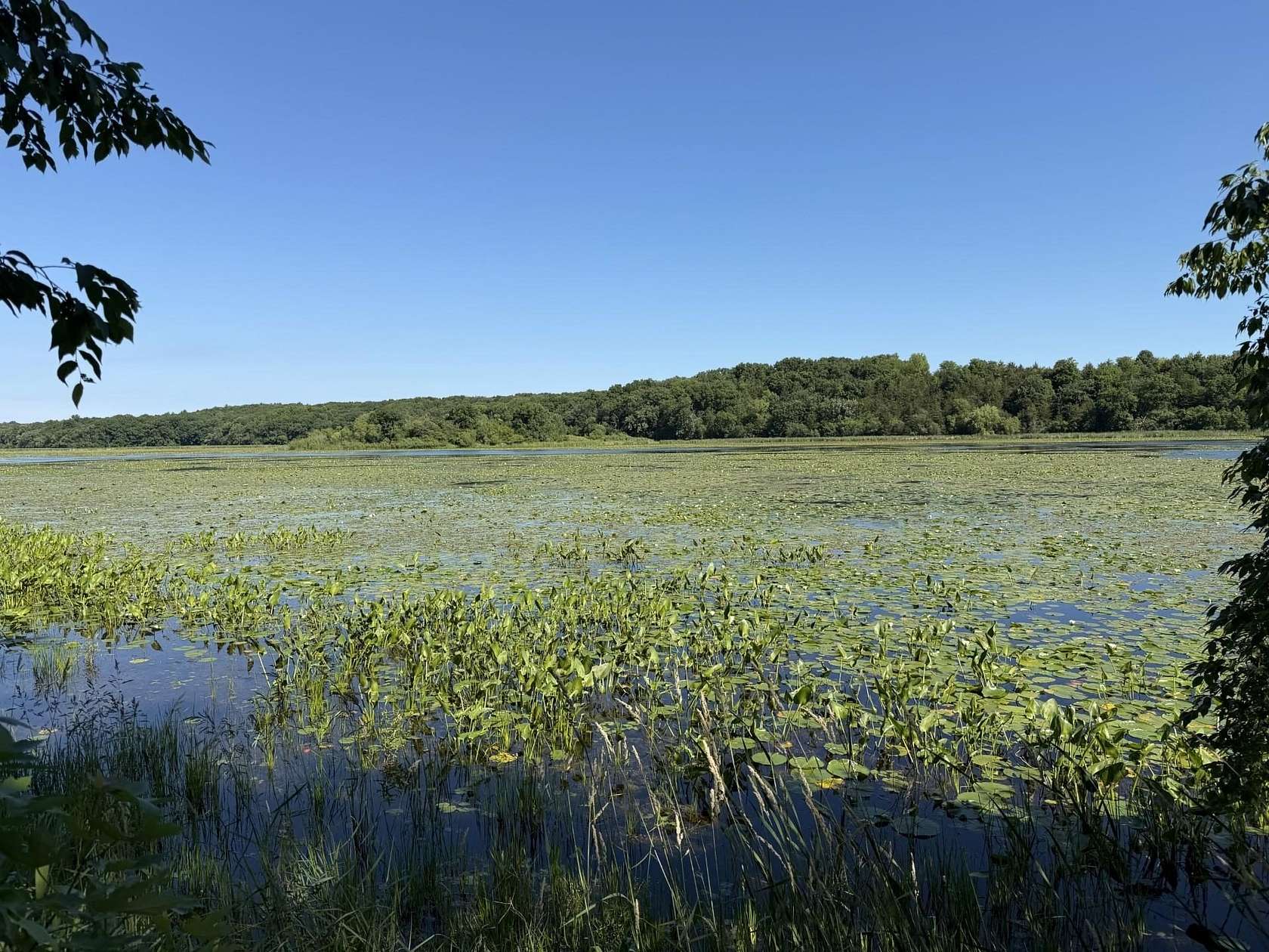 0.27 Acres of Residential Land for Sale in Elkhorn, Wisconsin