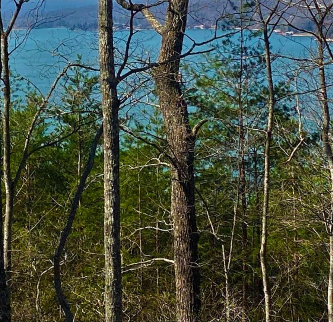 1.8 Acres of Residential Land for Sale in Ten Mile, Tennessee