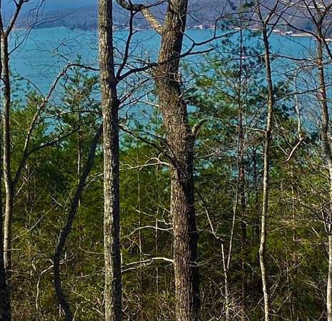 1.8 Acres of Residential Land for Sale in Ten Mile, Tennessee
