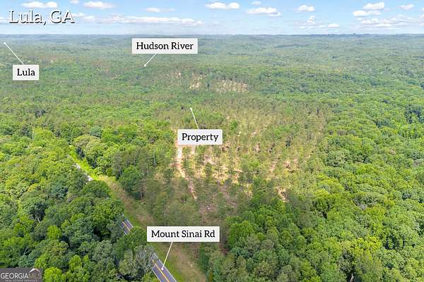 16.7 Acres of Land for Sale in Lula, Georgia