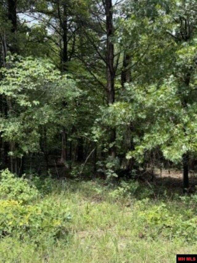 0.23 Acres of Land for Sale in Briarcliff, Arkansas