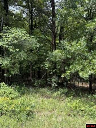 0.23 Acres of Land for Sale in Briarcliff, Arkansas