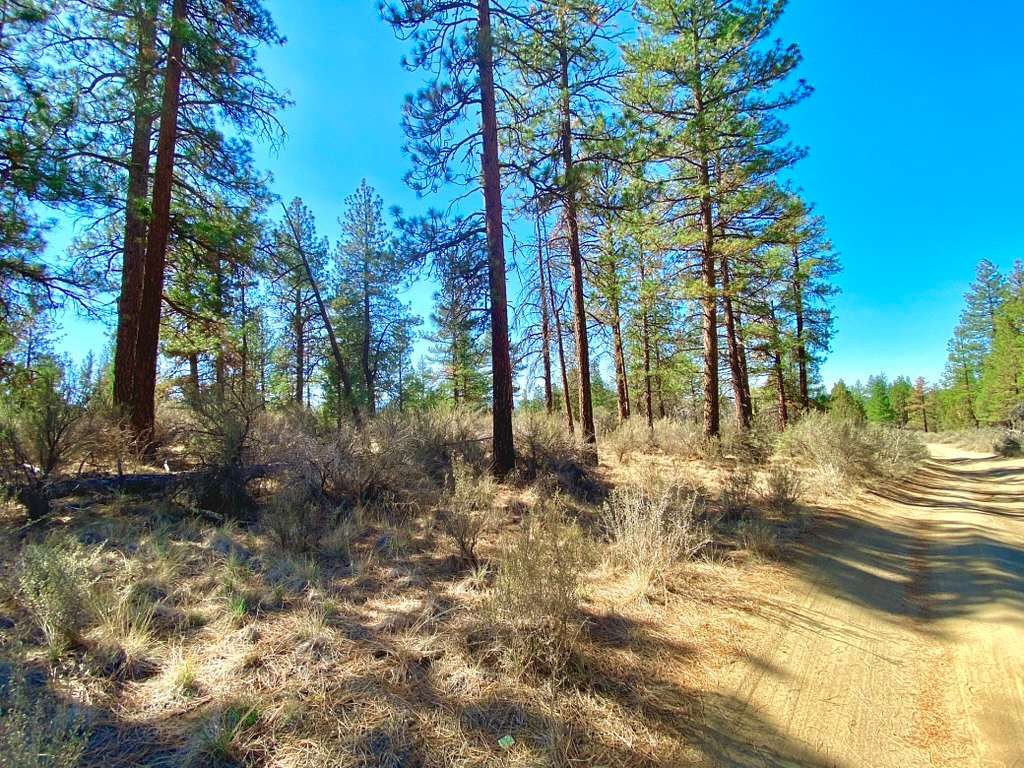 2.7 Acres of Residential Land for Sale in Sprague River, Oregon
