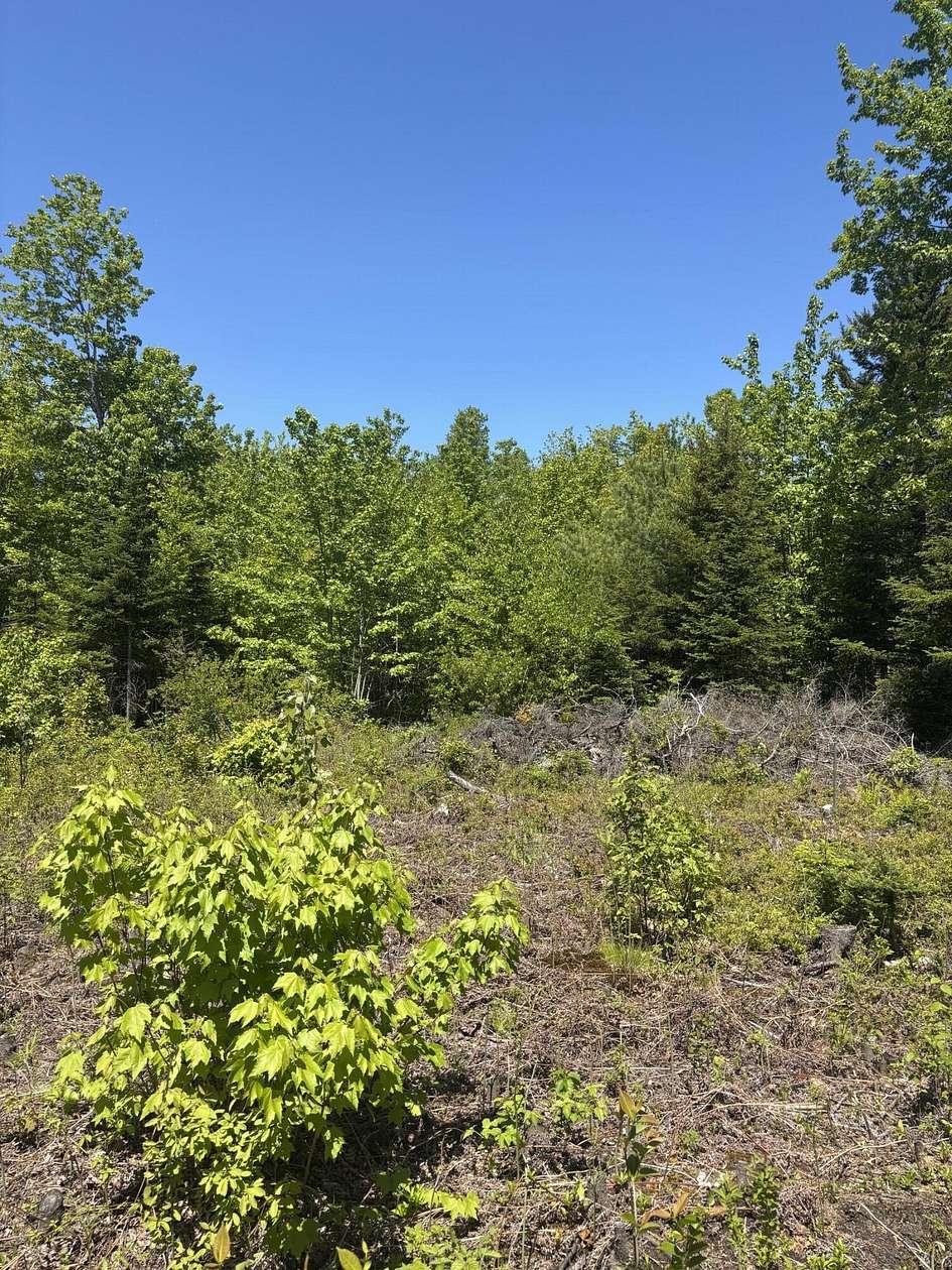 2 Acres of Residential Land for Sale in Dedham, Maine